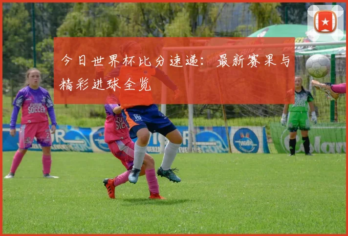 今日世界杯比分速递：最新赛果与精彩进球全览